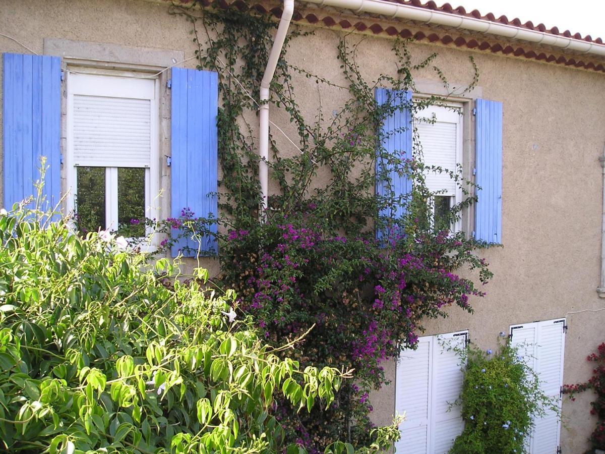 Gite Papy Albert Gruissan Exterior foto